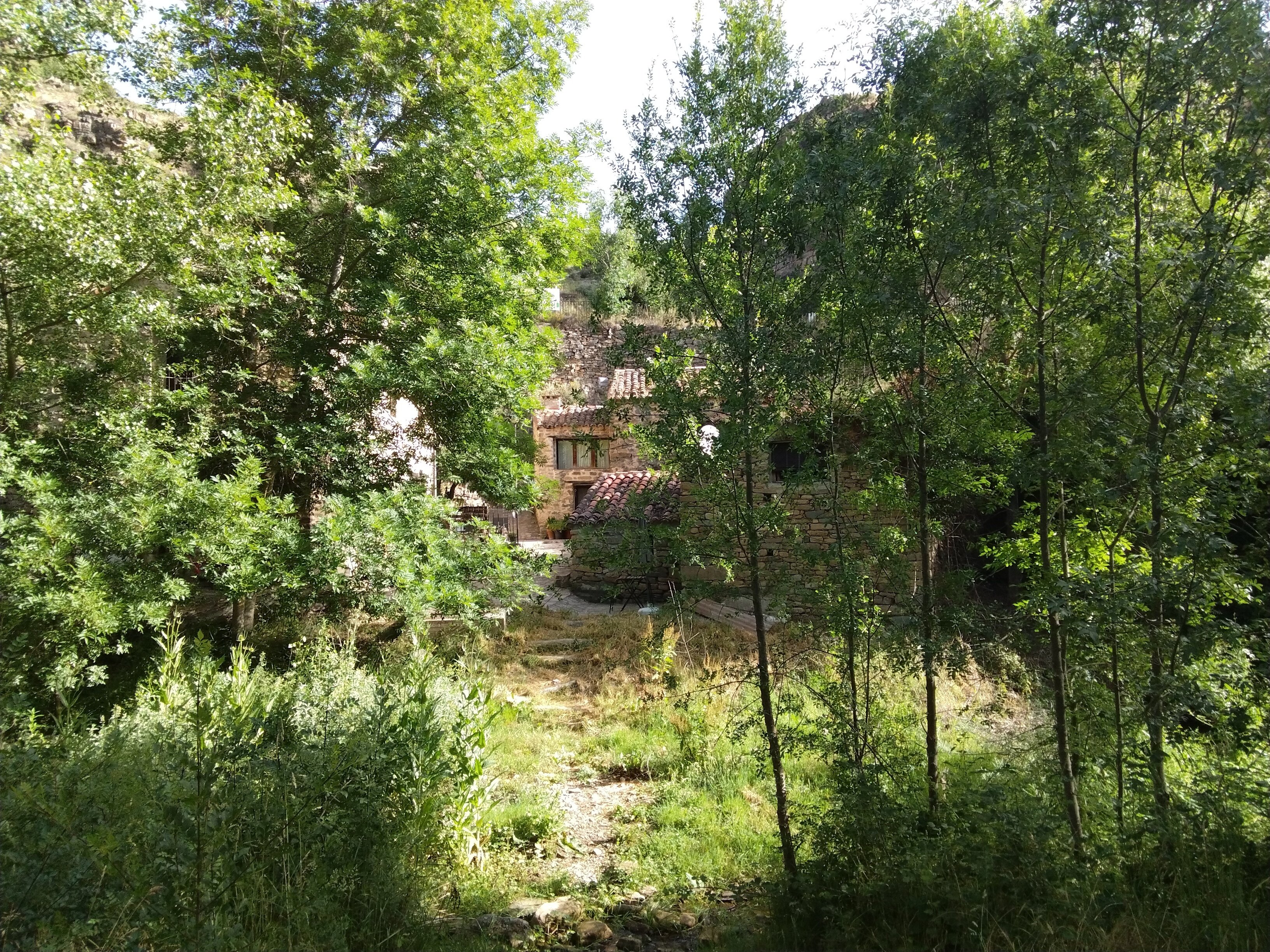 Jardín de El Molino de Bretún. Sitio para entrenamiento de Tai Chi. En Tierras Altas, Soria. España.