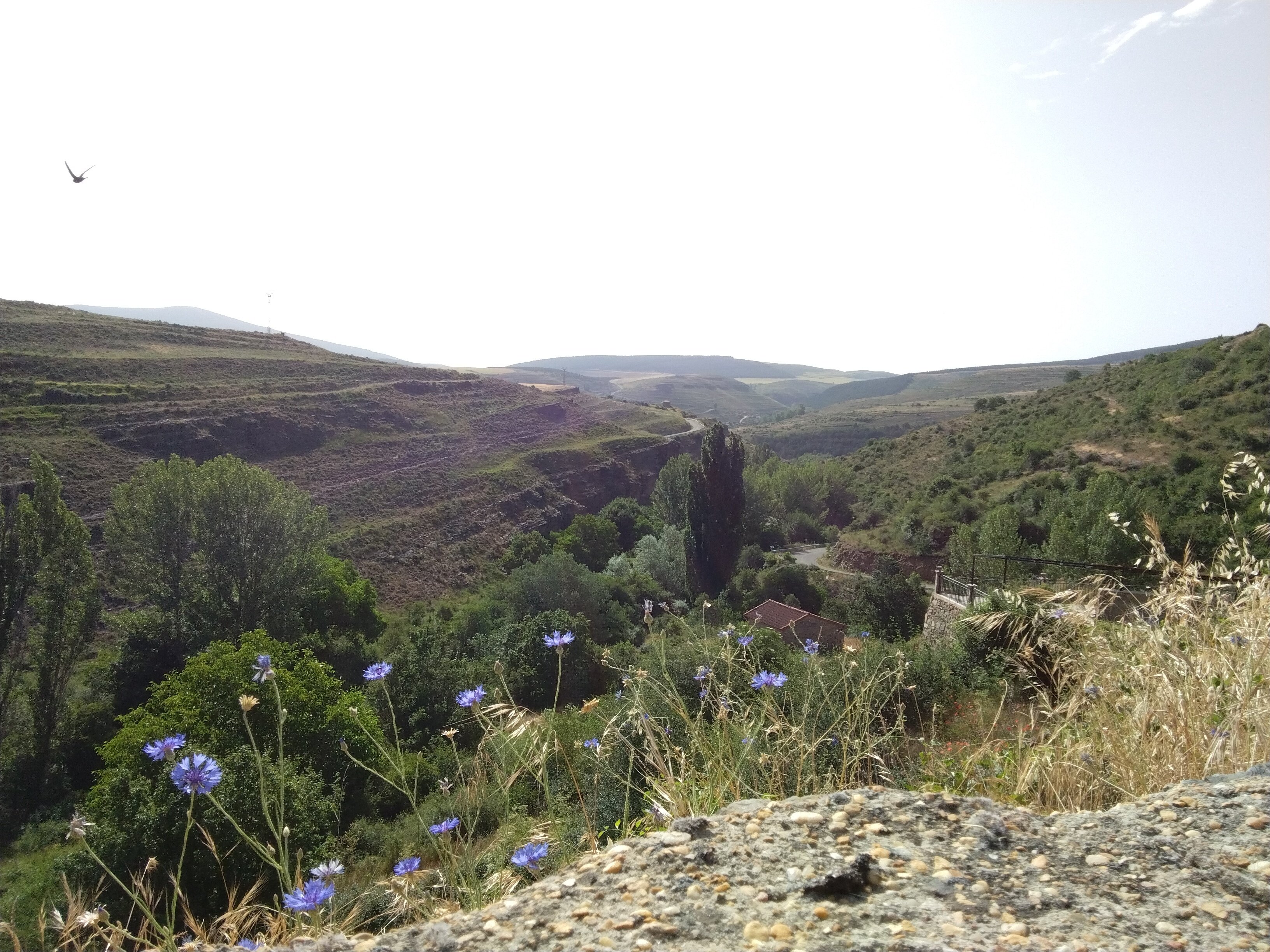 Imágenes del albergue El Molino de Bretún. Naturaleza de Tierras Altas, Soria.